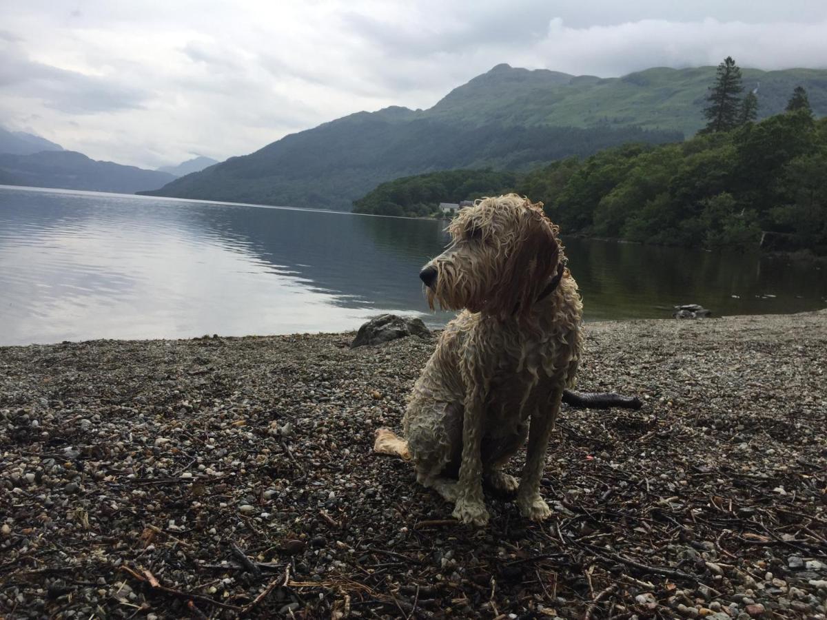 Ben Lomond Lodge Rowardennan Kültér fotó